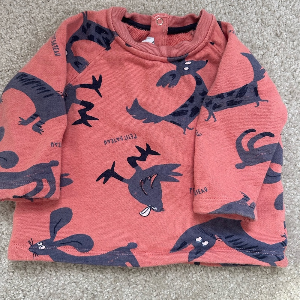 Petit Bateau 12m Sweater